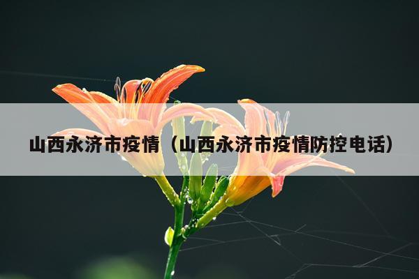 山西永济市疫情（山西永济市疫情防控电话）