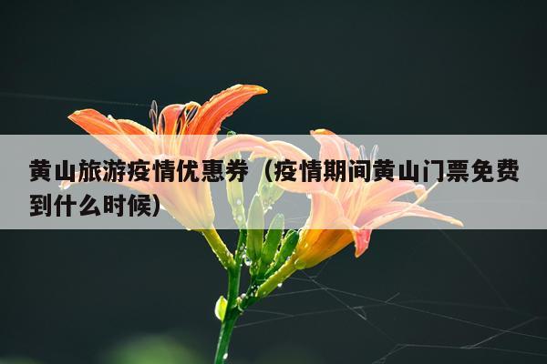 黄山旅游疫情优惠券（疫情期间黄山门票免费到什么时候）