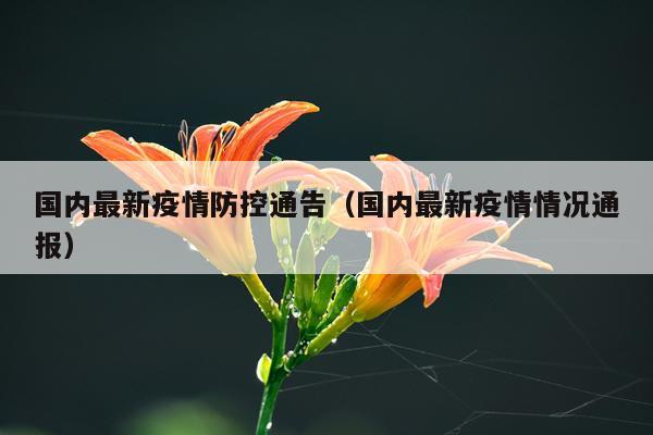 国内最新疫情防控通告（国内最新疫情情况通报）
