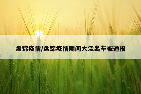 盘锦疫情/盘锦疫情期间大洼出车被通报